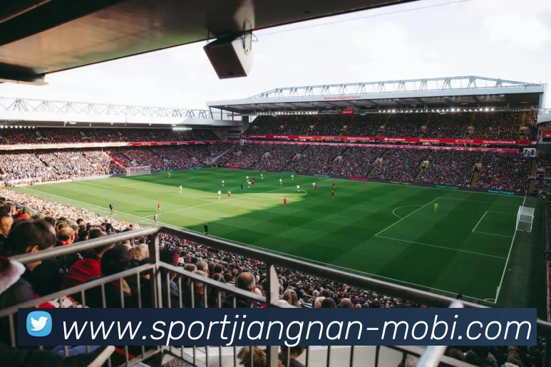 江南体育APP 封面图